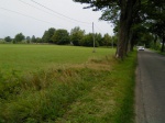 widok z drogi powiatowej